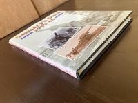 Germany's Guns 1939-1945