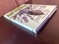 Modern Air Combat : The aircraft, tactics and weapons employed in aerial warfare today