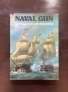 Naval Gun