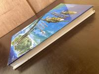 Aermacchi : Bagliori di guerra/Flashes of War （Macchi MC.200-MC.202-MC.205/v）