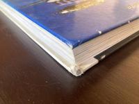 Aermacchi : Bagliori di guerra/Flashes of War （Macchi MC.200-MC.202-MC.205/v）