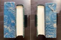 世界幻想文学大系21 シャンパヴェール悖徳物語 P.ボレル 川口顕弘訳 国書刊行会