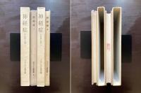 神経症 その理論と治療１&２（フランクル著作集４/５）みすず書房