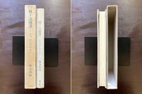 獅子流離譚 わが心のレオナルド