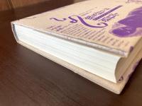 魔女狩り対新哲学 （クリテリオン叢書）