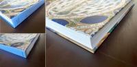 Codices Illustres The world's most famous illuminated manuscripts 400 to 1600 TASHEN, 2001