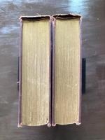 ISRAFEL : The Life and Times of Edgar Allan Poe Vol1&2
