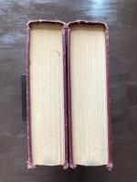 ISRAFEL : The Life and Times of Edgar Allan Poe Vol1&2