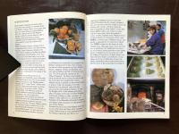 The Best of Maltese cooking