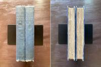 THE STONES OF PARIS : in History and Letters Volume1&2