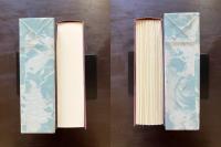ニキーナ ヴェネチアの娼婦の物語（フランス世紀末文学叢書11）