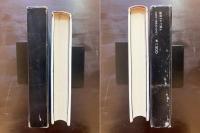 虐殺された詩人（小説のシュルレアリスム）