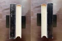 虐殺された詩人（小説のシュルレアリスム）