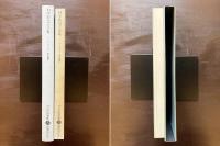 科学的ロマンス集（バベルの図書館）