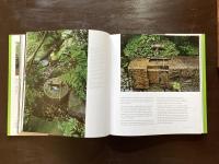 Japanese gardens : Tranquility Simplicity Harmony