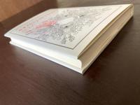 カオスとシミュレーション（叢書・ウニベルシタス）