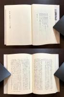 小説の精神（叢書・ウニベルシタス）