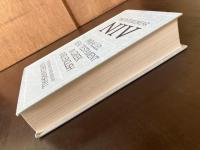 The Interlinear NIV Parallel New Testament in Greek and English