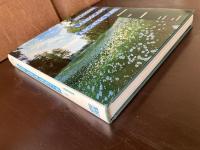 Modern Landscape Architecture : Redefining the Garden