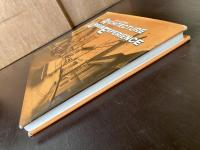 Architecture and the Urban Experience