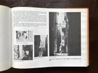 Architecture and the Urban Experience