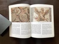Guide to the Paphos mosaics
