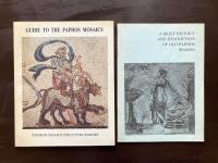 Guide to the Paphos mosaics