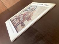Guide to the Paphos mosaics
