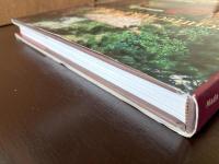 Architecture of Bali : A Source book of traditional and modern forms