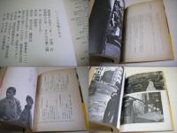 ハーレムの熱い日々