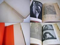 裸の美学 : 女体美を探求する