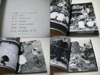 オキナワ : 写真報告 1961-1970