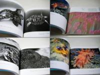 中村征夫写真展 : 海中2万7000時間の旅