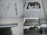 楽園からの最後の言葉