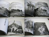 楽園からの最後の言葉