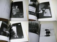 猫・陽のあたる場所 : 武田花写真集