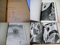 長崎<11:02>1945年8月9日