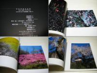 さくら・桜・サクラ66 : 東松照明作品集