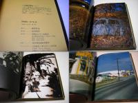 アメリカンルーレット