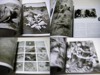 The end of the game : the last word from paradise : a pictorial documentation of the origins, history & prospects of the big game in Africa ...