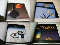 Flowers : メイプルソープの花