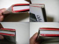 忘れられた人々 : 中国精神病人的生存状況