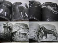 楽園からの最後の言葉