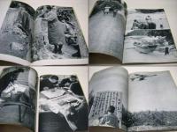 沖縄100万の叫び : 嬉野京子写真集