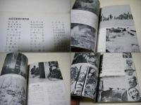 写真100年 : 日本人による写真表現の歴史展