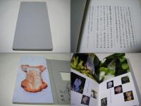 雲知桃天使千体像