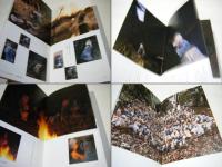 雲知桃天使千体像