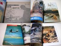全記録ベトナム戦争30年 : B52・ミグ戦闘機から拳銃・小銃まで