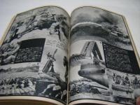 全記録ベトナム戦争30年 : B52・ミグ戦闘機から拳銃・小銃まで