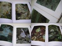 森のなかの展覧会 : 富成忠夫写真集